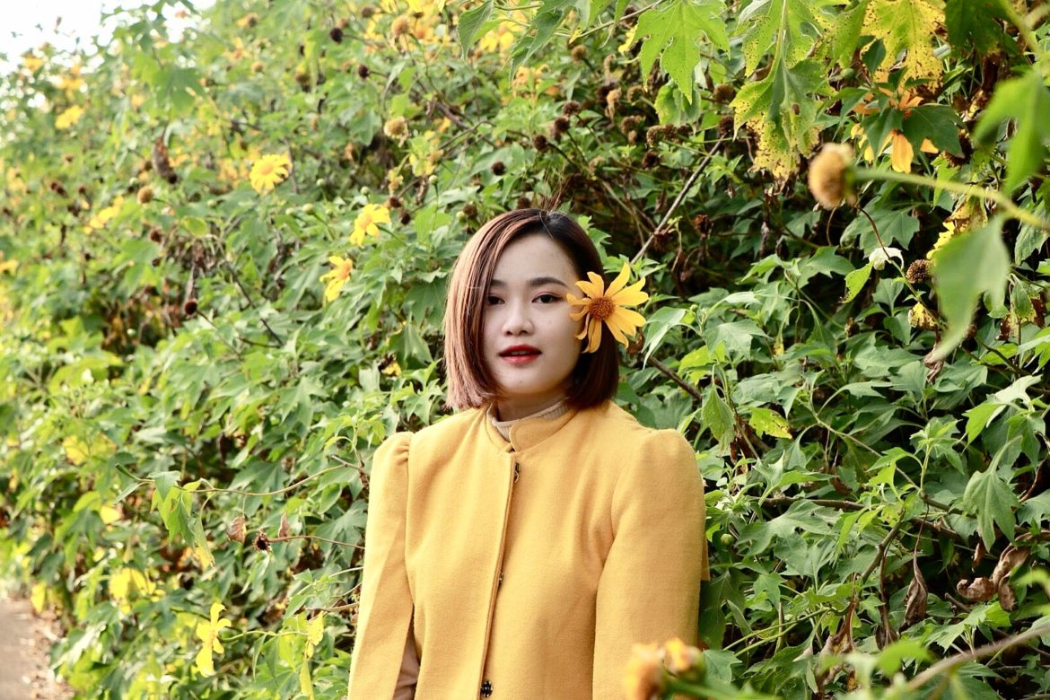 nguyenhongloan